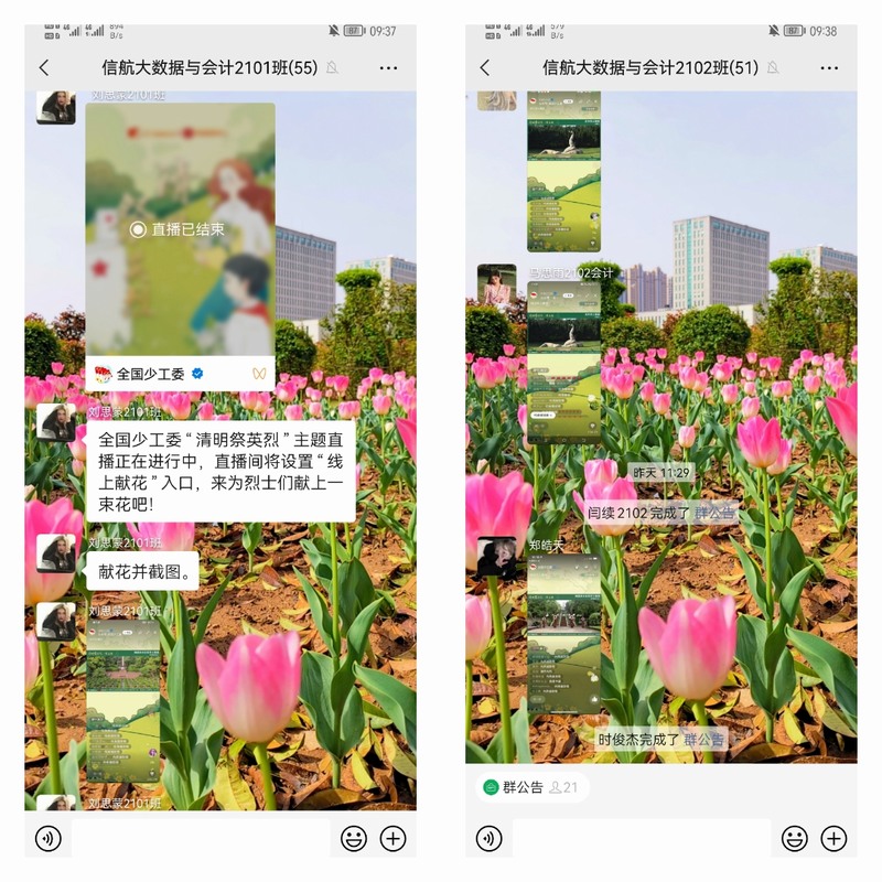 图片1_副本_副本.jpg